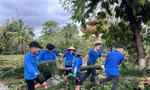 Sinh viên Quảng Ninh tình nguyện hỗ trợ khắc phục hậu quả bão YAGI