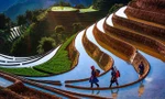 CLIP: Lạc bước giữa các thửa ruộng bậc thang mùa nước đổ