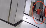 Chủ chó thả rông, đánh người gây thương tích ở TP HCM sẽ bị xử lý thế nào? 