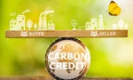Sẽ có hai loại hàng hóa được giao dịch trên thị trường carbon