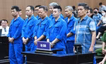 Vụ buôn lậu đất hiếm gây thiệt hại 736 tỷ đồng: Cựu Thứ trưởng Bộ TN&MT được đề nghị án treo