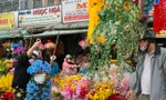 Hoa trái 'bất tử' đắt hàng ngày Tết