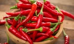 Ớt Việt xuất khẩu phải đi đường vòng