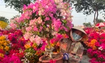 Nhộn nhịp chợ hoa Tết 'giá hạt dẻ' ở TPHCM 