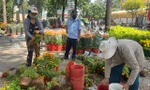 TPHCM: Nhiều tiểu thương cắt bỏ hoa để lấy chậu chiều 30 Tết