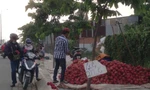 Nghịch lý trái cây: 'Nội' giải cứu, 'ngoại' xếp hàng chờ mua