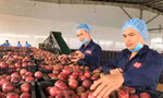 Bộ trưởng Nông nghiệp nói về gian hàng Việt Nam và Trung Quốc ở hội chợ 