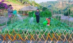 Trang trại đẹp như tranh giúp chàng trai Mường thu tiền tỉ mỗi năm