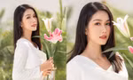 Á hậu Phương Anh khoe sắc vóc vạn người mê ở bộ ảnh mới, chuẩn tiêu chí Miss International