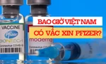 97 nghìn liều vắc xin Pfizer đầu tiên về Việt Nam