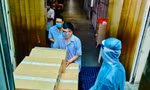 Ảnh: Các đơn vị nhận thuốc kháng virus Molnupiravir tại Công ty Sapharco vào tối 26.9- ảnh N.L