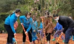 Tỉnh Đoàn Lạng Sơn và lãnh đạo sở, ngành địa phương trồng 600 cây đào, cây hồi tại xã Thanh Long, huyện Cao Lộc, Lạng Sơn -Ảnh: Duy Chiến 
