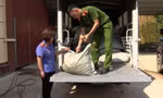 Tang vật vụ buôn bán, vận chuyển chân gà ở Tràng Định. Ảnh: Q.T