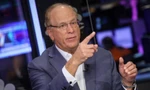  Larry Fink, Chủ tịch kiêm tổng giám đốc điều hành BlackRock. (Ảnh: CNBC)