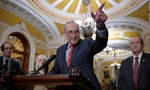 Lãnh đạo đa số Thượng viện Mỹ Chuck Schumer. (Ảnh: Reuters)
