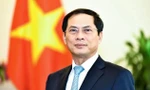Phó Thủ tướng, Bộ trưởng Ngoại giao Bùi Thanh Sơn