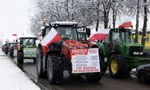 Nông dân Ba Lan biểu tình ở khu vực biên giới giáp Ukraine. (Ảnh: Reuters)