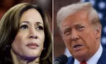Phó Tổng thống Kamala Harris và cựu Tổng thống Donald Trump đang ngang ngửa nhau trong một số cuộc khảo sát. (Ảnh: Reuters)