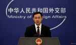 Người phát ngôn Bộ Ngoại giao Trung Quốc Lâm Kiếm. (Ảnh: Reuters)