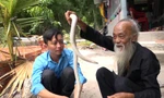 Lão nông nuôi 'bạch xà' làm thú cưng ở An Giang