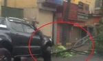 Tài xế bán tải dùng xe 'ủn' cây ngã đổ giữa phố vào vỉa hè