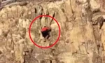 Clip: Leo núi mạo hiểm, nam thanh niên rơi từ độ cao 30m xuống 