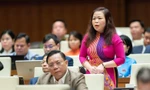 Phó Chủ nhiệm Ủy ban Tài chính – Ngân sách: Rất đau lòng trước lãng phí đất đai