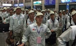 Ban Bí thư yêu cầu sớm chấm dứt tình trạng đưa người đi lao động nước ngoài trái phép