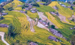 Ngỡ ngàng vẻ đẹp ruộng bậc thang Hoàng Su Phì mùa lúa chín