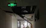 Chung cư Tân Tây Đô: Sau rơi gạch ốp tường là sập trần thạch cao