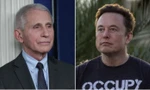TS Anthony Fauci (trái) và tỷ phú Elon Musk