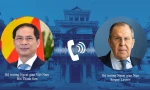 Bộ trưởng Bùi Thanh Sơn và Ngoại trưởng Nga Sergei Lavrov. (Ảnh: Mofa)