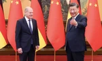 Chủ tịch Trung Quốc Tập Cận Bình đón Thủ tướng Đức Olaf Scholz thăm trong tháng 11