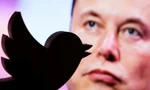 Tỷ phú Elon Musk và logo chú chim của Twitter