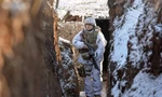 Một lính Ukraine đi tuần trong hào ở khu vực miền đông. (Ảnh: Reuters)