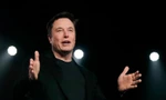 Tỷ phú Elon Musk. (Ảnh: AP)