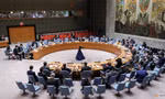 Trong cuộc họp của Hội đồng Bảo an Liên Hợp quốc. (Ảnh: Reuters)