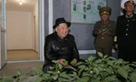 Ông Kim Jong Un đã dự lễ khai trương một trang trại nhà kính ngày 10/10. (Ảnh: KCNA)