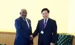 Phó Thủ tướng Phạm Bình Minh hội kiến Tổng thống Comoros ngày 22/9. (Ảnh: VGP)