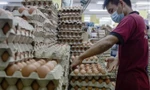 Nguồn cung trứng gà ở nhiều tỉnh thành Trung Quốc thiếu hụt vì trời quá nóng