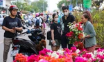 Chợ hoa bến Bình Đông giảm sâu, người dân vẫn hỏi nhiều hơn mua
