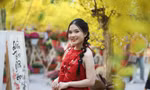 Giới trẻ đổ xô đến phố ông Đồ, đường mai vàng TPHCM chụp hình Tết