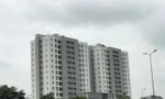 Hà Nội xây dựng căn hộ chung cư thương mại 40m2