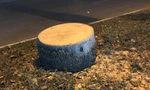 Vì sao quận Hoàng Mai cấp phép chặt hạ 22 cây cau vua trên đường Kim Đồng?