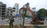 Trồng mới hàng cây xanh trên đường Huỳnh Thúc Kháng kéo dài