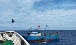 Nhiều tàu cá vi phạm trên vùng vịnh Bắc Bộ bị xử phạt hàng tỷ đồng 