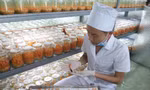 Ong Thế Dũng trong khu nuôi cấy đông trùng hạ thảo của mình ảnh: N.T 