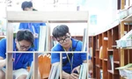 Thanh niên kiều bào sôi nổi tham gia các hoạt động tình nguyện