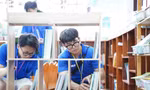 Thanh niên kiều bào sôi nổi tham gia các hoạt động tình nguyện