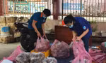 TP. HCM: Bạn trẻ hỗ trợ tiêu thụ khoai lang tím giúp nông dân miền Tây